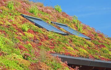 Addingham Moorside living roof systems