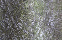 Addingham Moorside fibreglass roof work